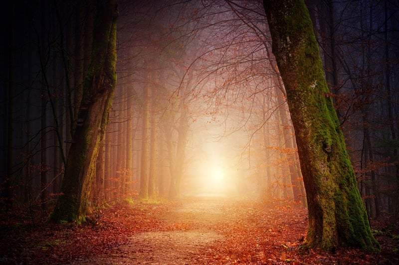 Mystical Garden Paths