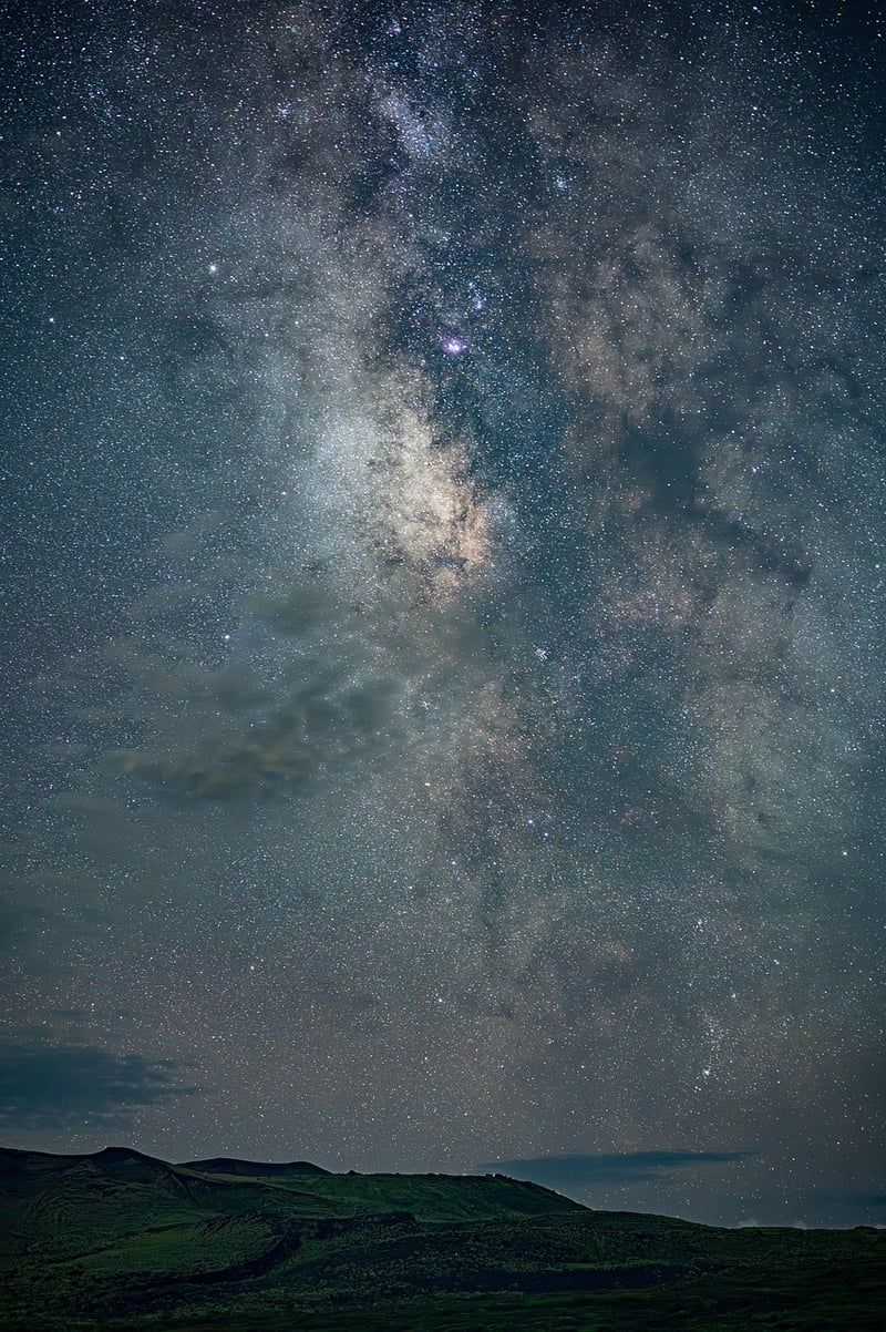 Starlit Sky Gardens